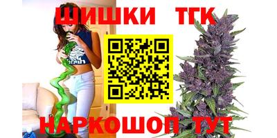 гашик Тулун