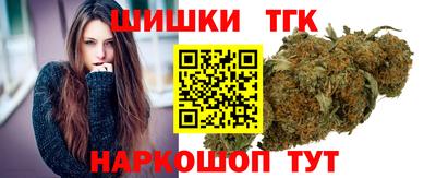индика Усть-Илимск